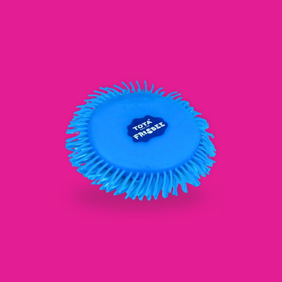 TOTA Water Frisbee Thrill | Reusable Water Toy for Holi & Outdoor Fun | Pack of 1